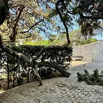 Villa Eden