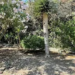 Eden Villa *