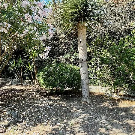 Eden Villa *